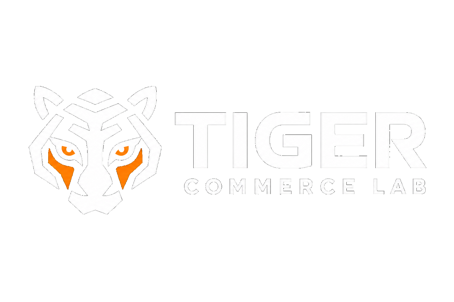 TIGER COMMERCE LAB